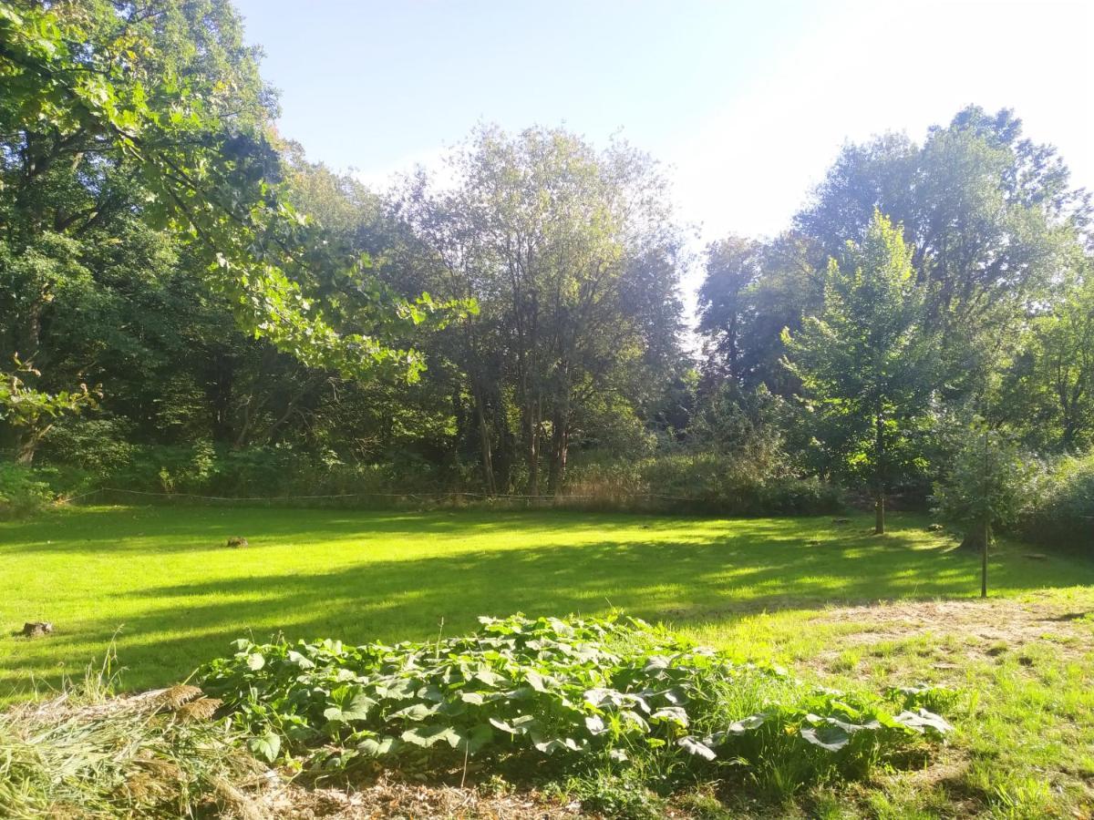 Bed&Breakfast - Warniłęg Zewnętrze zdjęcie